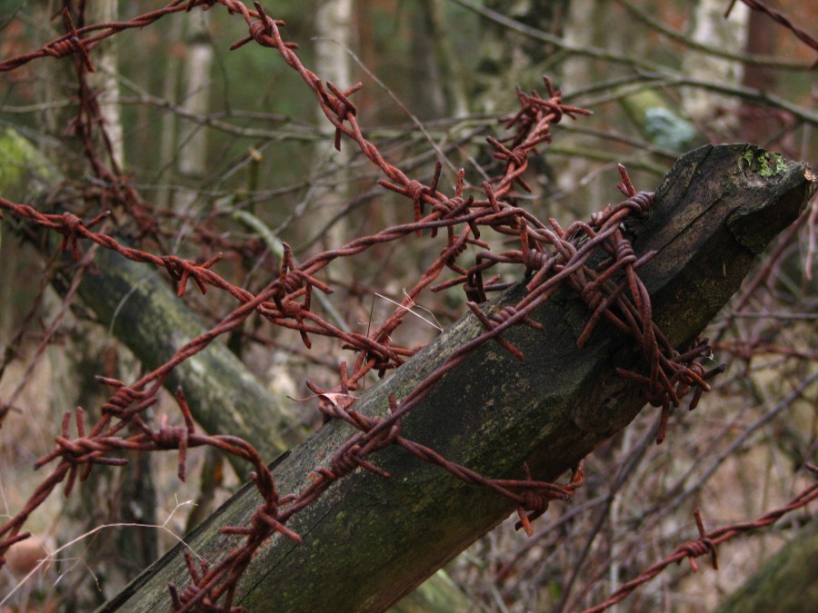 Barbed Wire