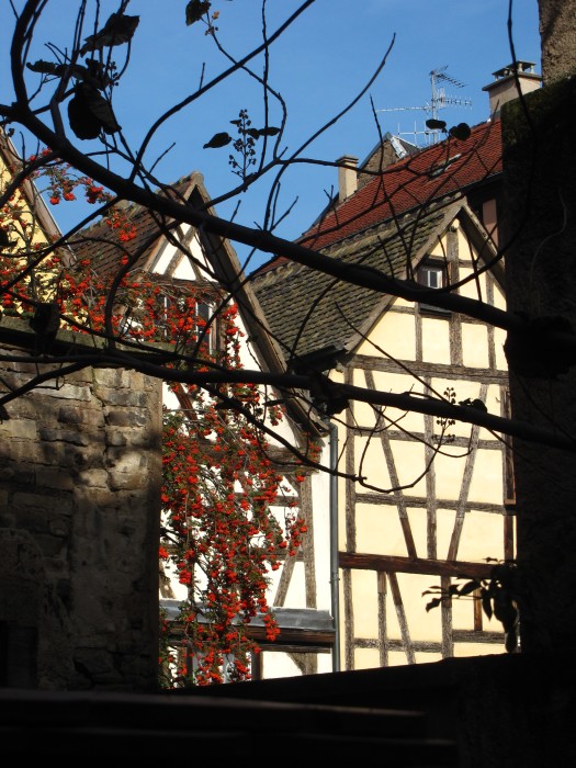 Timber Framed Houses