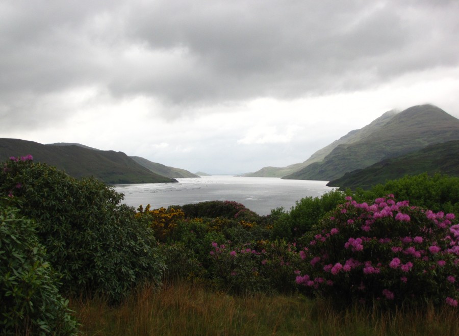 Fjord near Killary