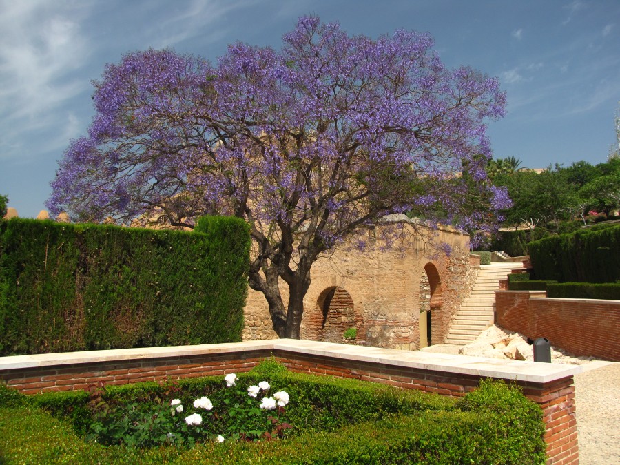 Castillo de la Concepcion in Cartagena