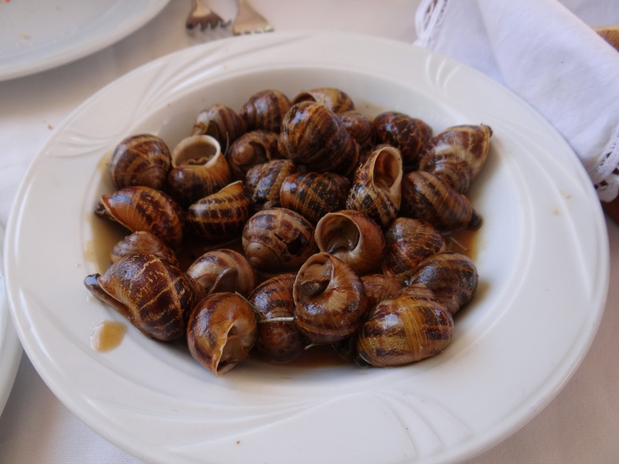 Snails