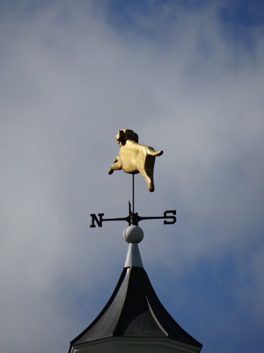 Weather Vane at the Dog's Chapel