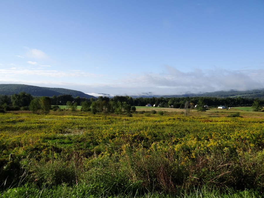 Morning Mist over Upstate New York