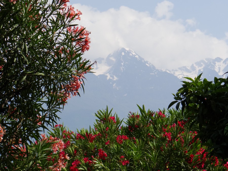 The Alps seen from Limone (Lake Garda)