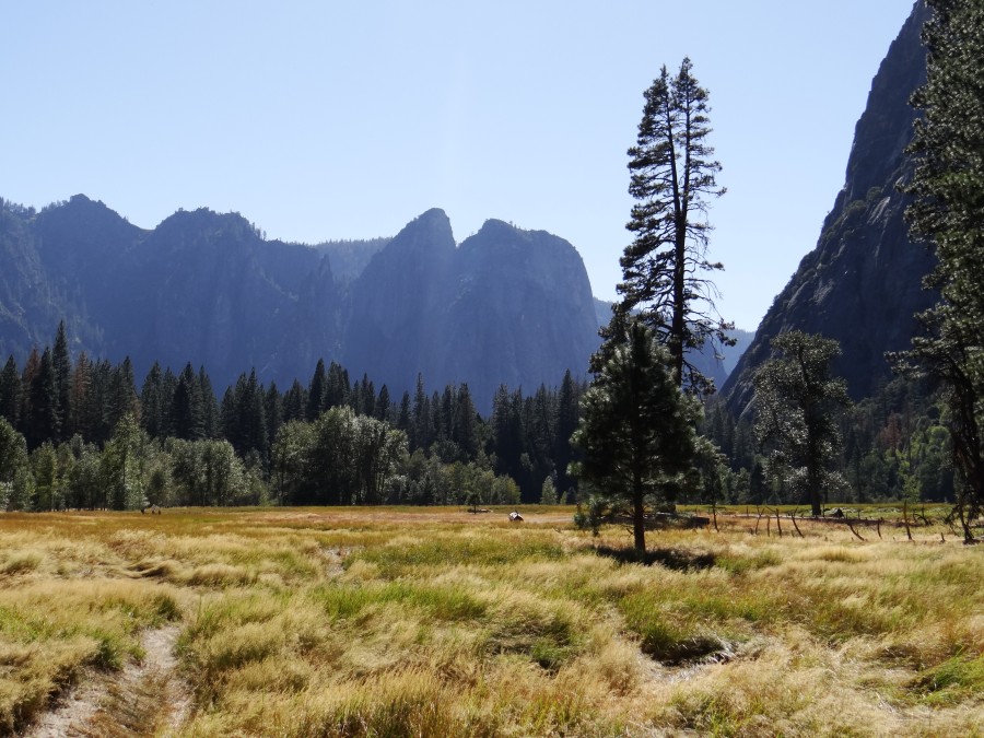 Yosemite National Park