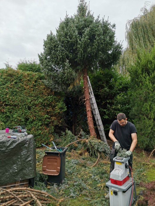 Cutting branches